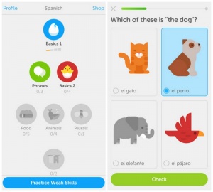 duolingo