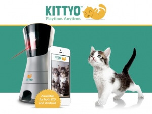 Kittyo