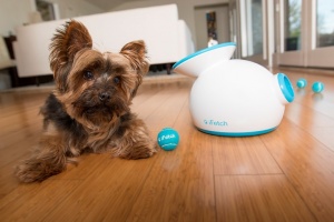 iFEtch