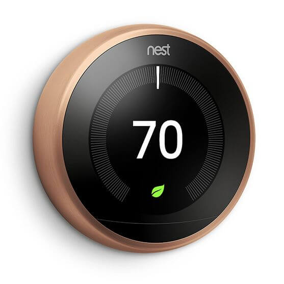 nest-1