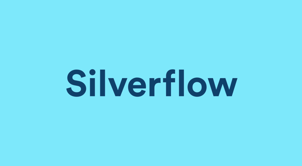 Ödeme Altyapısı Sağlayıcısı Silverflow 40 Milyon Dolar Yatırım Aldı ...